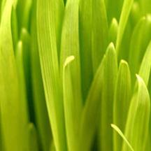 发卡群靠谱的平台在线ddos压力测试