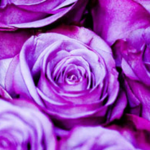 黑客靠什么攻击服务器