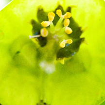 黑客靠什么攻击服务器